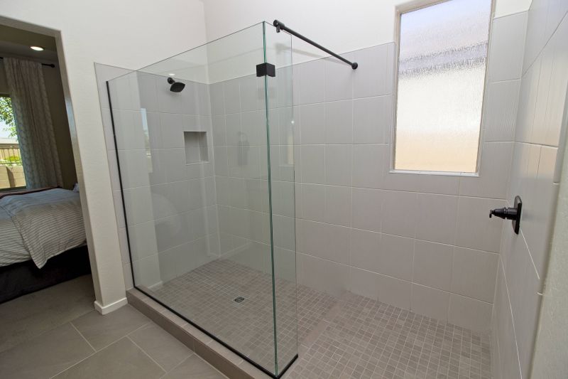 Contemporary Frameless Shower